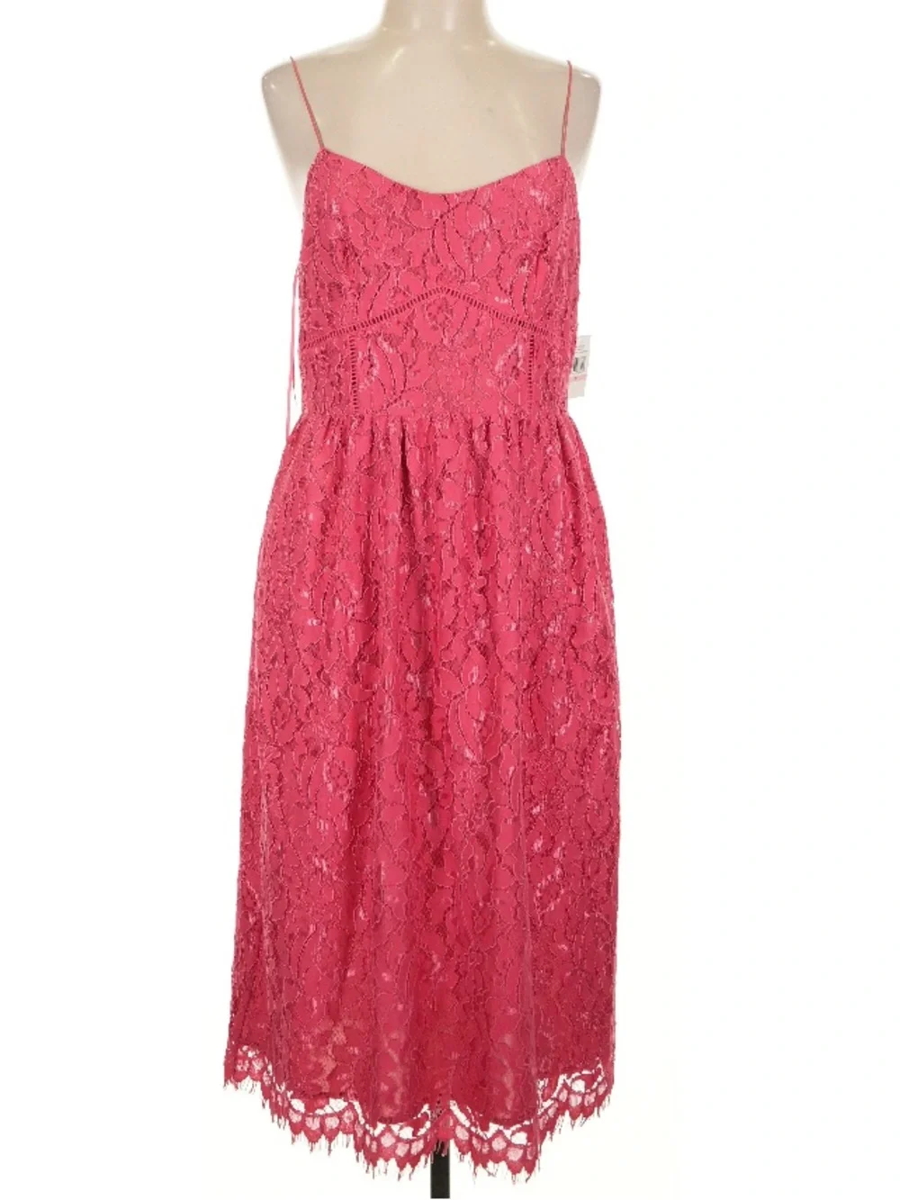 NWT CECE Terra Rose Sleeveless Lace Fitted Bodice Lined A-Line Dress Size 10